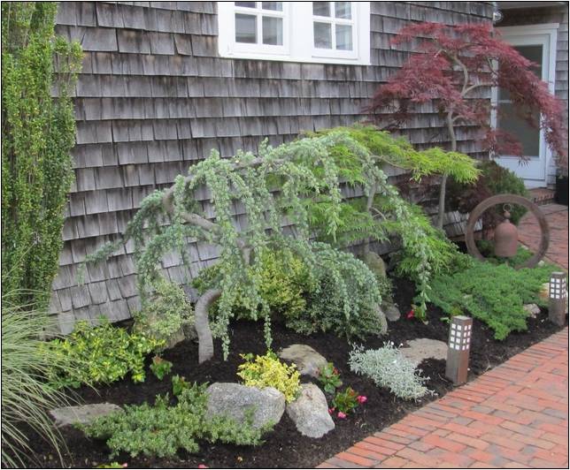 Dwarf Weeping Ornamental Trees For Landscaping