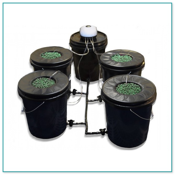 Dwc Hydroponic System For Sale