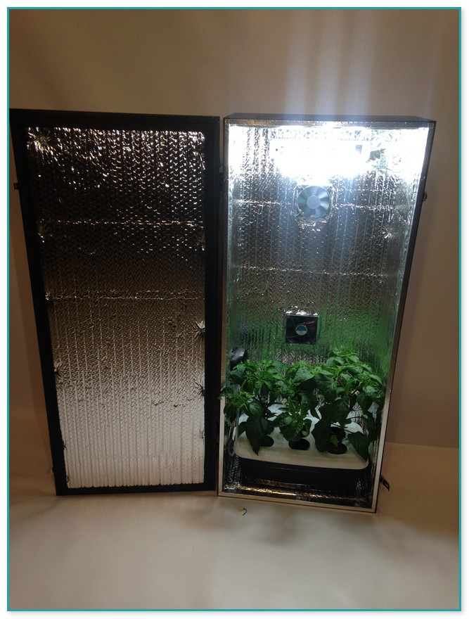 Hydroponic Grow Boxes For Sale