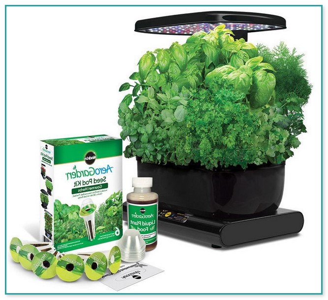 Hydroponic Kits For Beginners