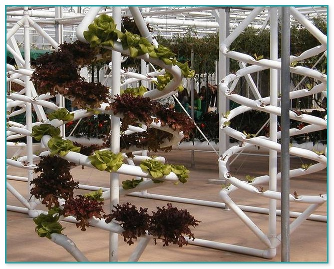 Hydroponic Kits For Home