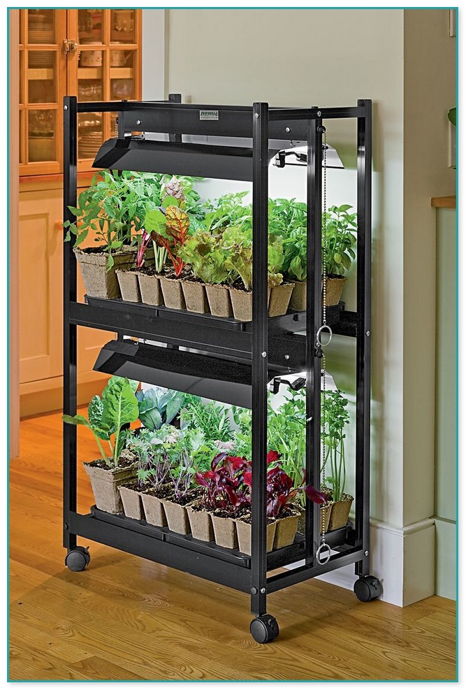Indoor Gardening Kits Vegetables