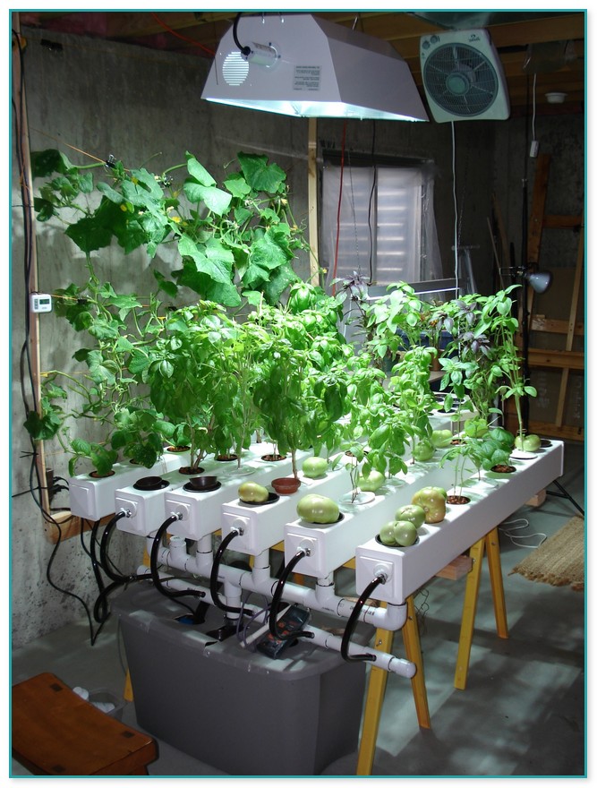 how to build a marijuana hydroponic system