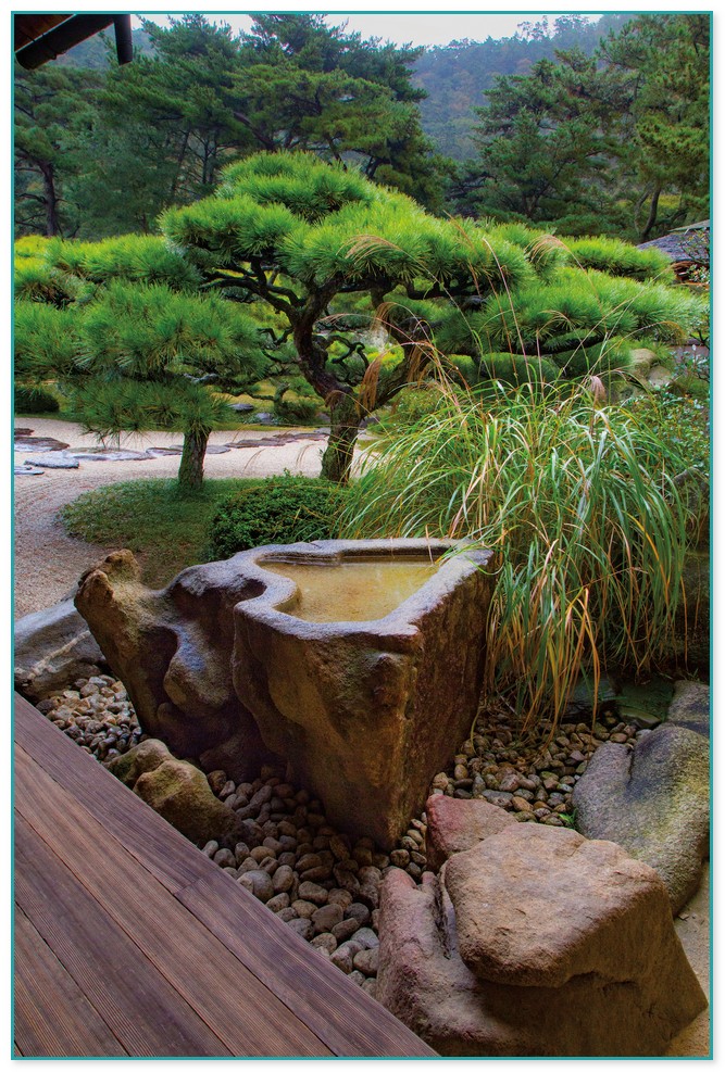Japanese Garden Water Basin