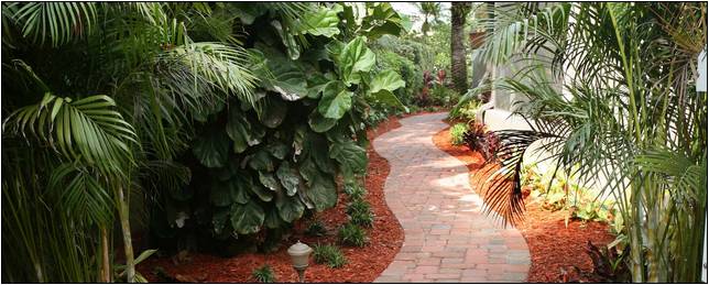 Landscape Design St Petersburg Florida