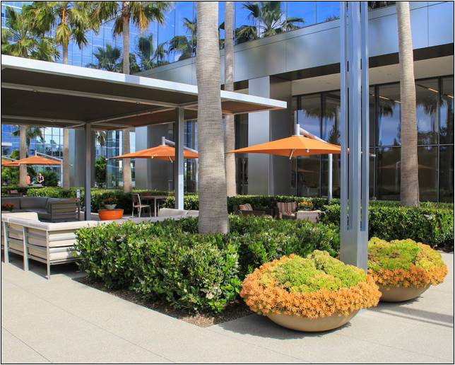 Landscape Maintenance Companies In San Diego