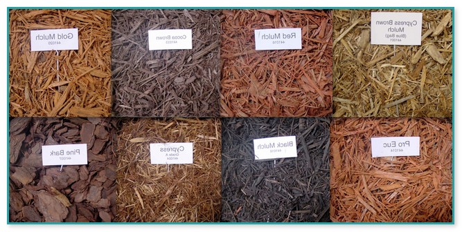 Types Of Mulch For Landscaping